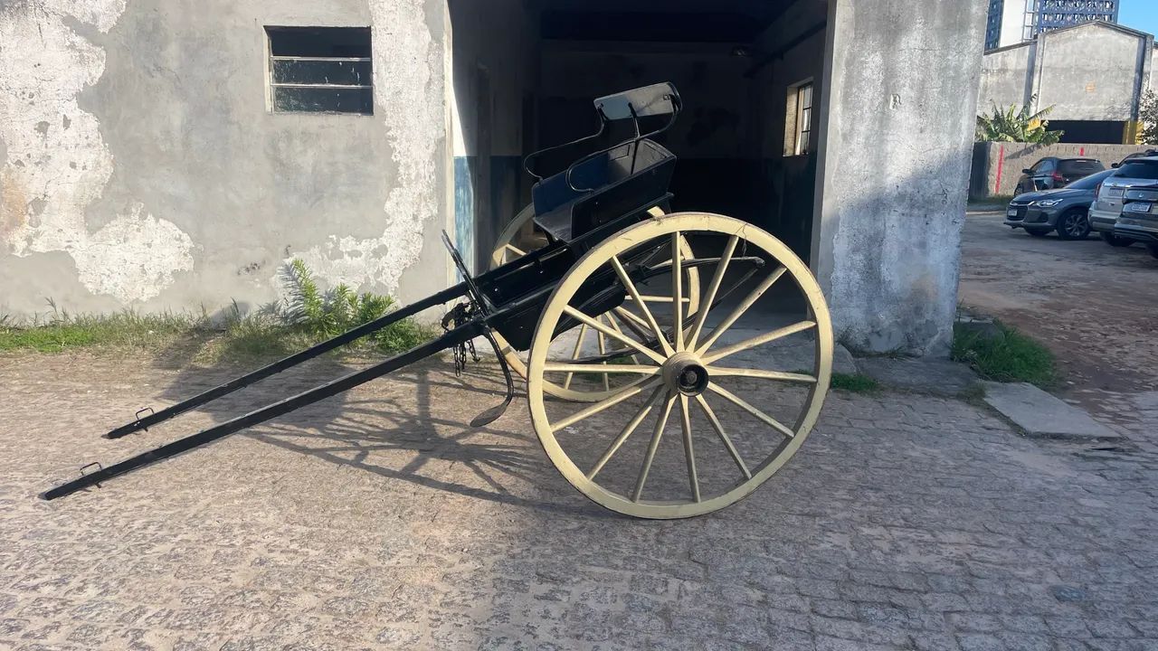 Charrete faéton aranha 