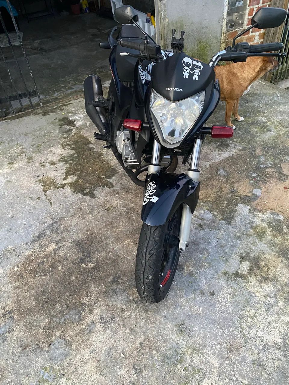 CB300 2012 - Foto 5
