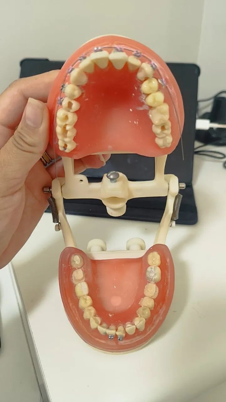 Manequim odontologia  - Foto 2
