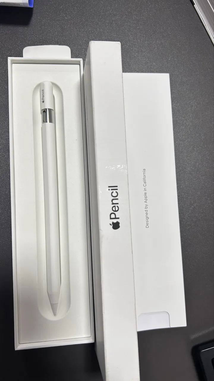 Apple Pencil USB-C Original - A3085 - Novo na Caixa - Acessórios