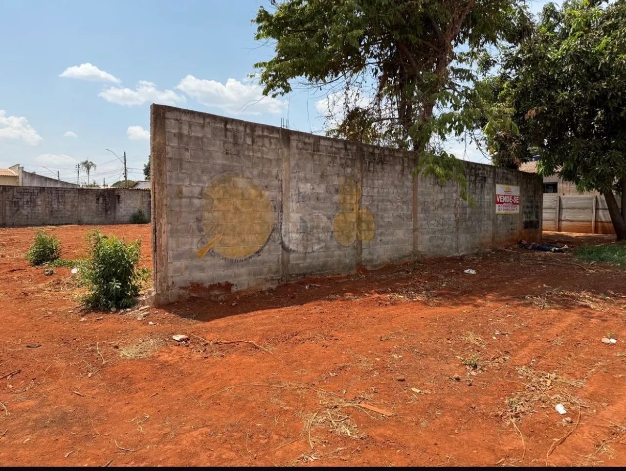 1.5000 m2 VENDE-SE EXCELENTE ÁREA SETOR VERA CRUZ I - Foto 3