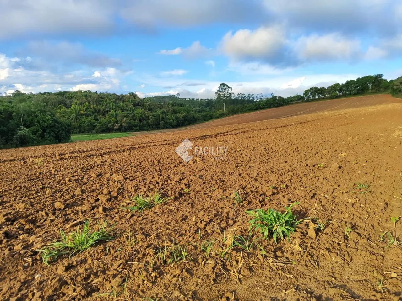 Sitio produtivo em São Miguel Arcanjo - SP - Foto 3