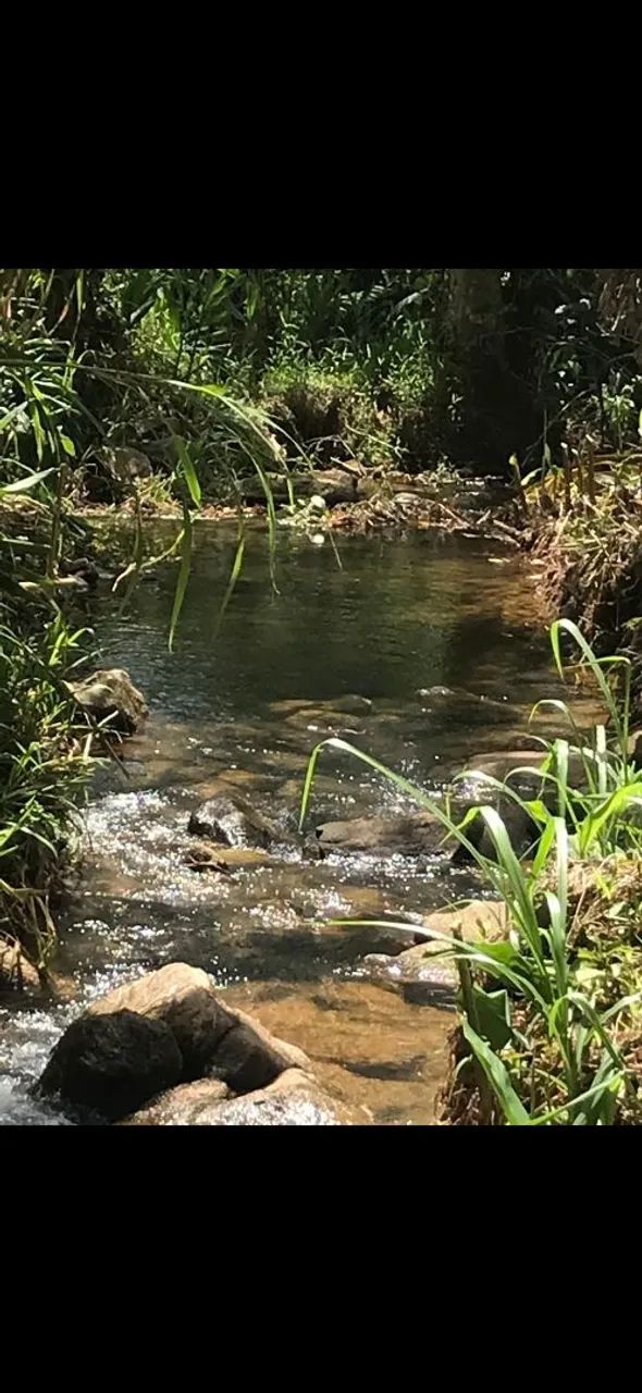 Foto - Nova Friburgo - Parque Dom João VI