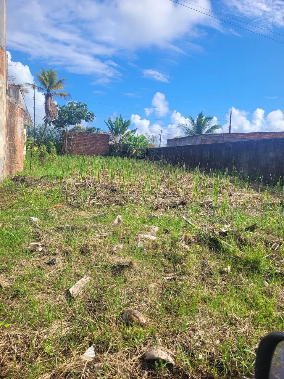 Foto - Jaboatão dos Guararapes - Barra de Jangada
