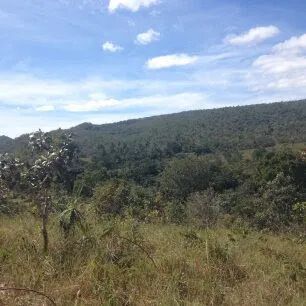 Fazenda - Teresina de Goiás - Foto 2