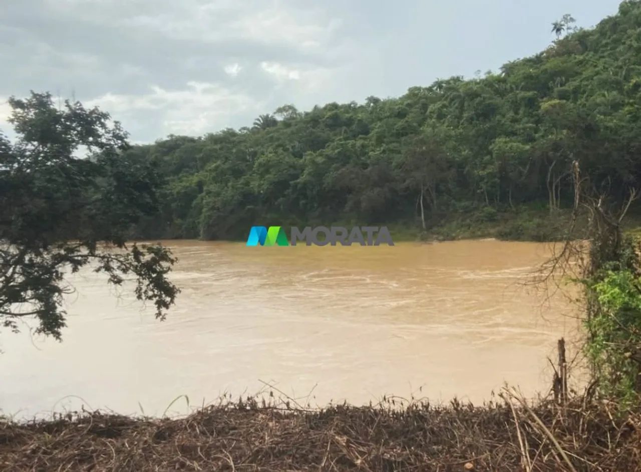 FAZENDA À VENDA - 37 HECTARES - PITANGUI (MG) - Foto 4