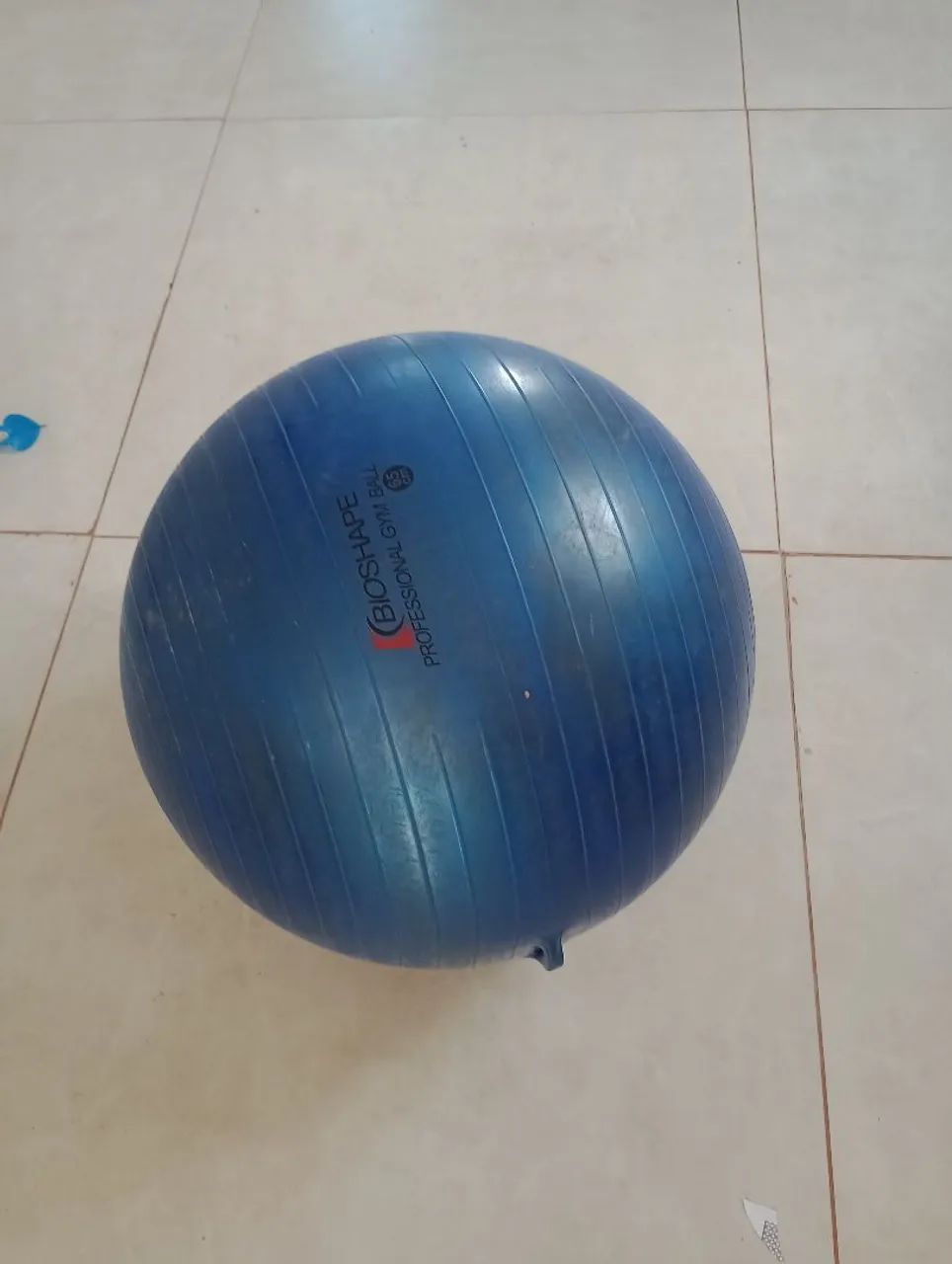 Bola Pilates 