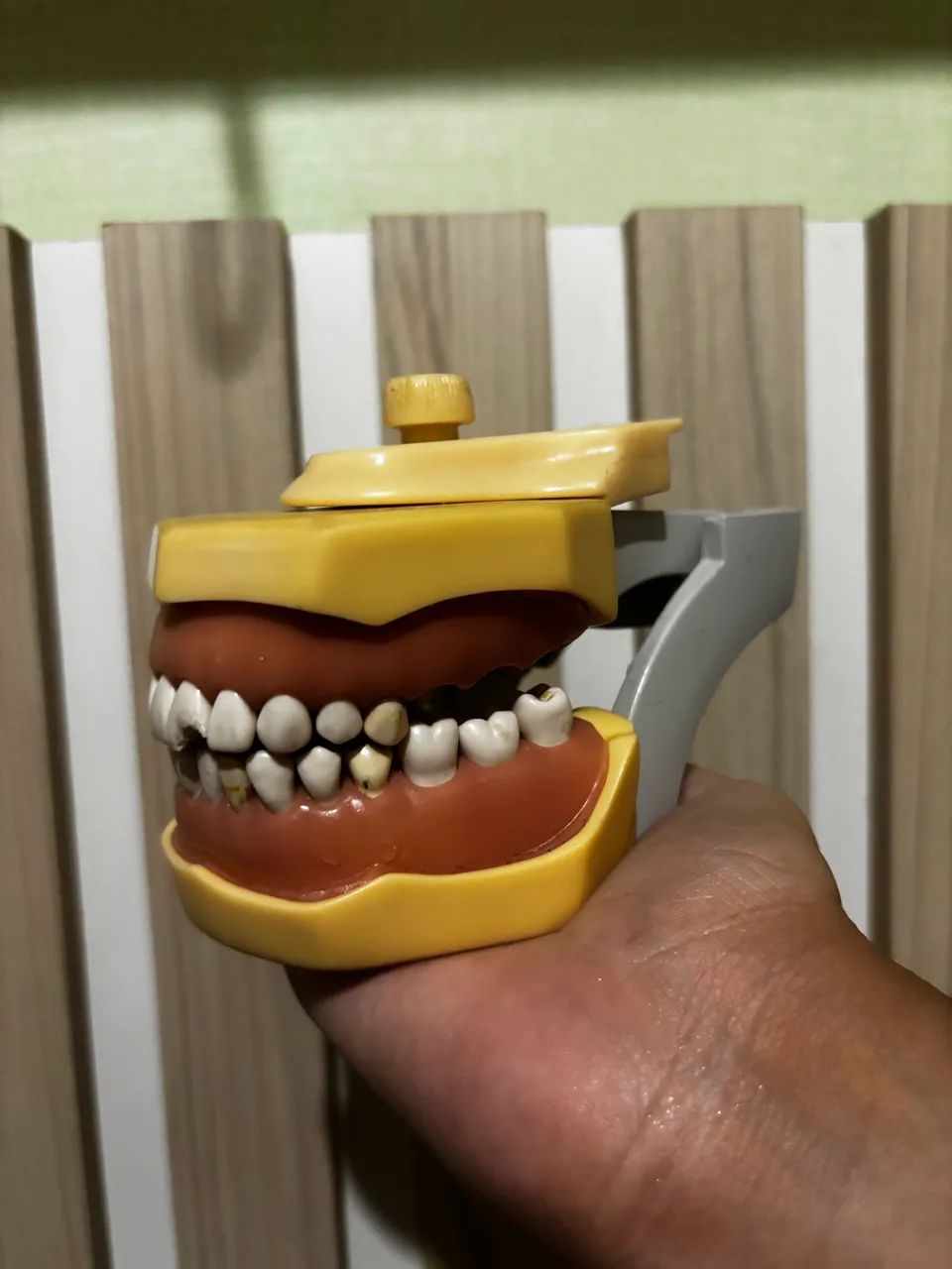 Manequim odontológico dentistica  - Foto 4