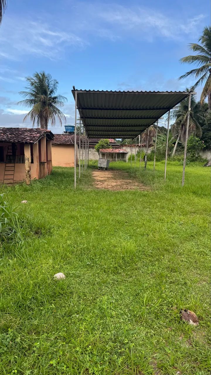 Granja  - Foto 4