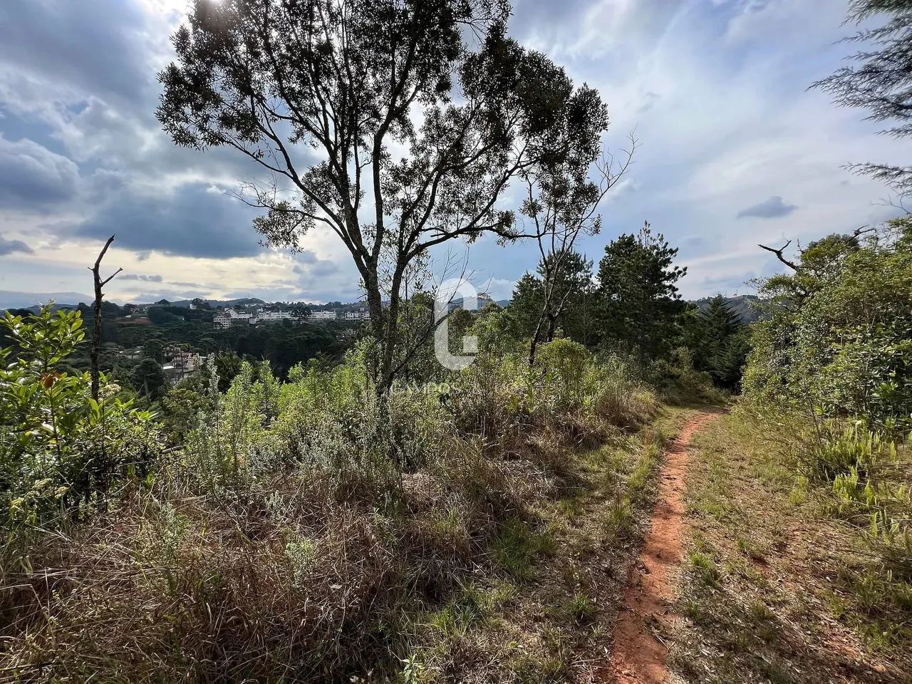Área para incorporação à venda, 16.805 m², R$ 8.000.000,00, ao lado do Cantrinho do Capiva - Foto 12