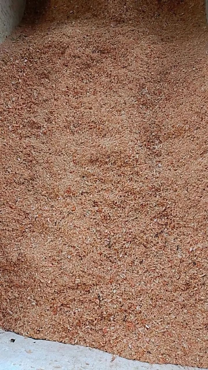 Ração, puin de camarão para porco e gado  - Foto 2