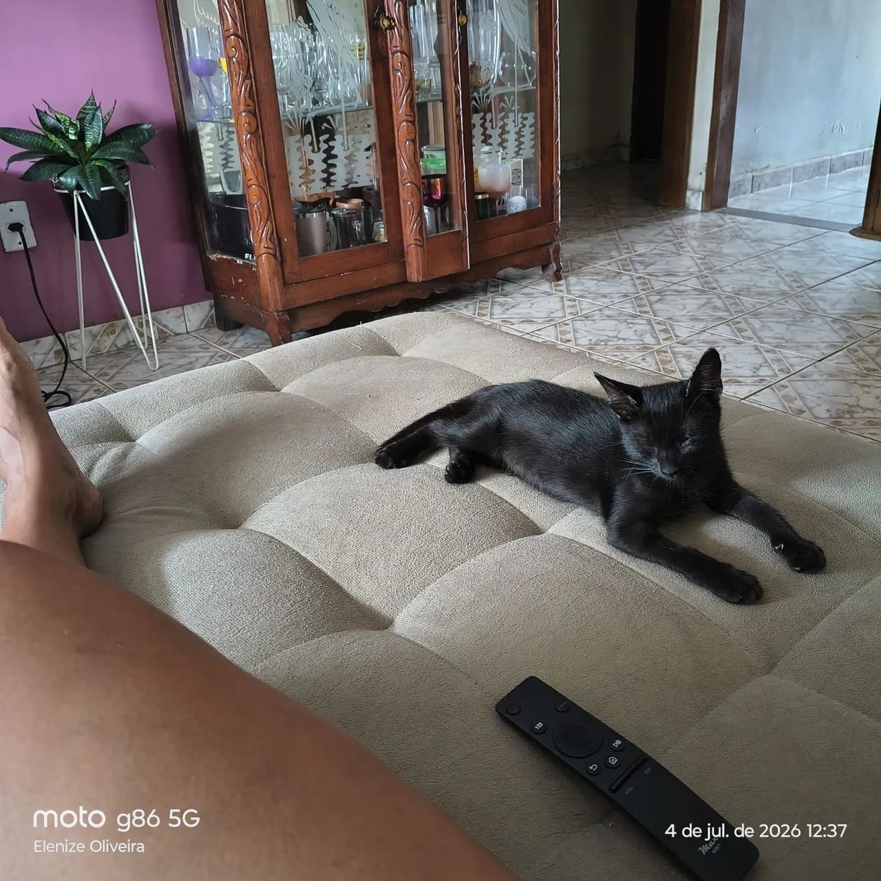 Doa-se filhotinho - Foto 4