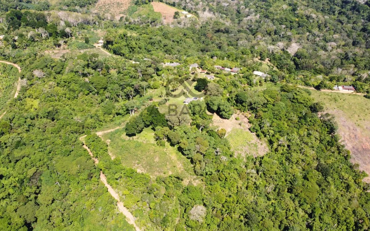 FAZENDA  SANTO ANTÔNIO - ILHÉUS/BA - Foto 3