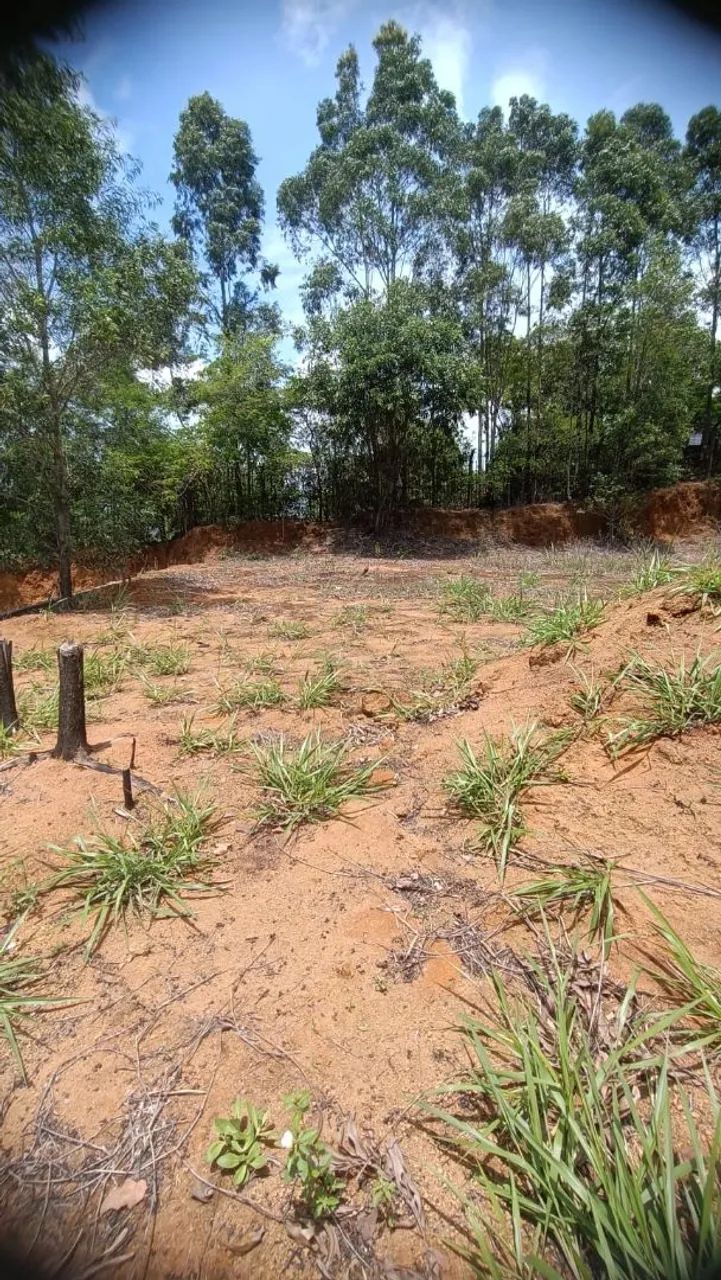 Terreno a venda em jardim América  - Foto 9