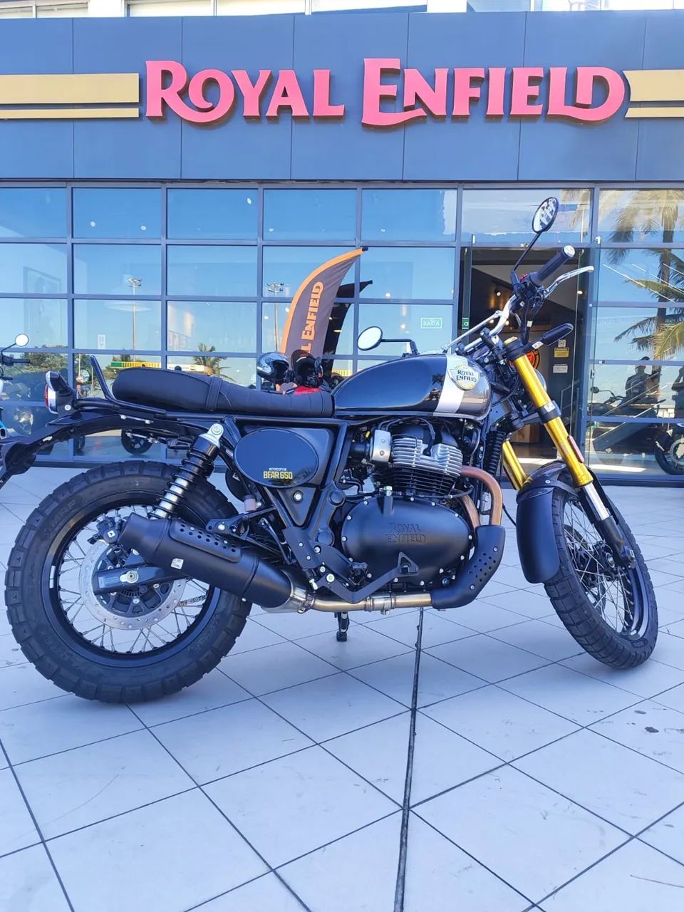 BEAR 650cc/ DAIANA  - Foto 4