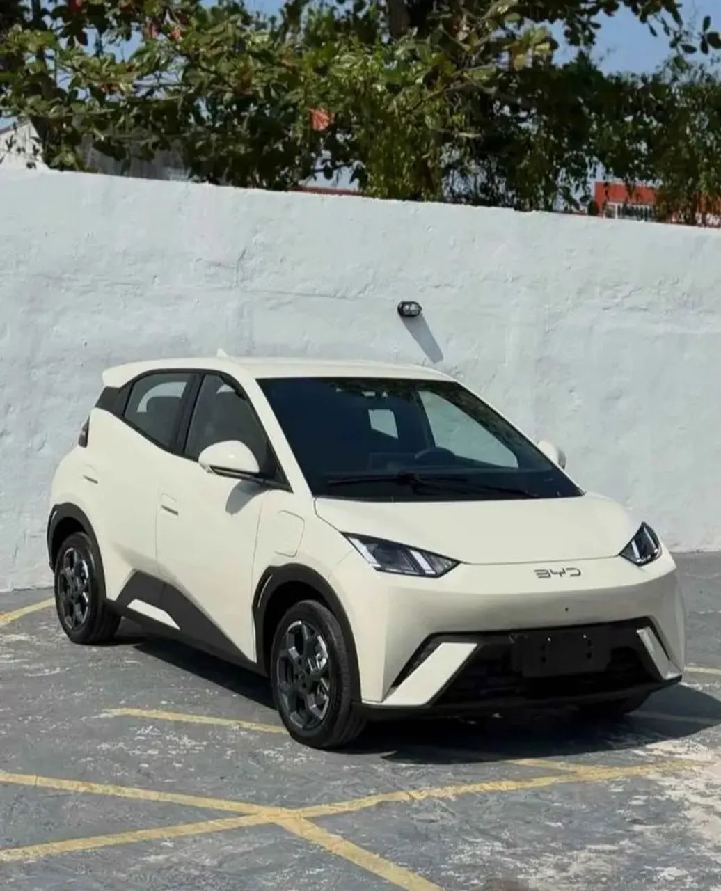 BYD Dolphin Mini (Elétrico) 2025 - Foto 3