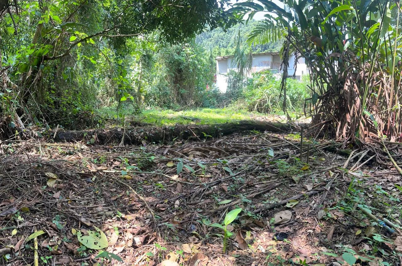 Vendo terreno no Ubatumirim  - Foto 2