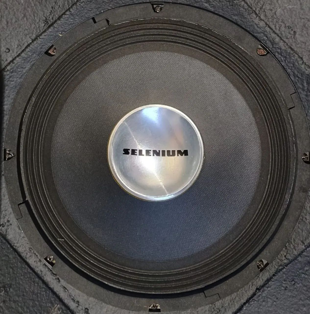 Woofer de 12 polegadas Selenium PW3