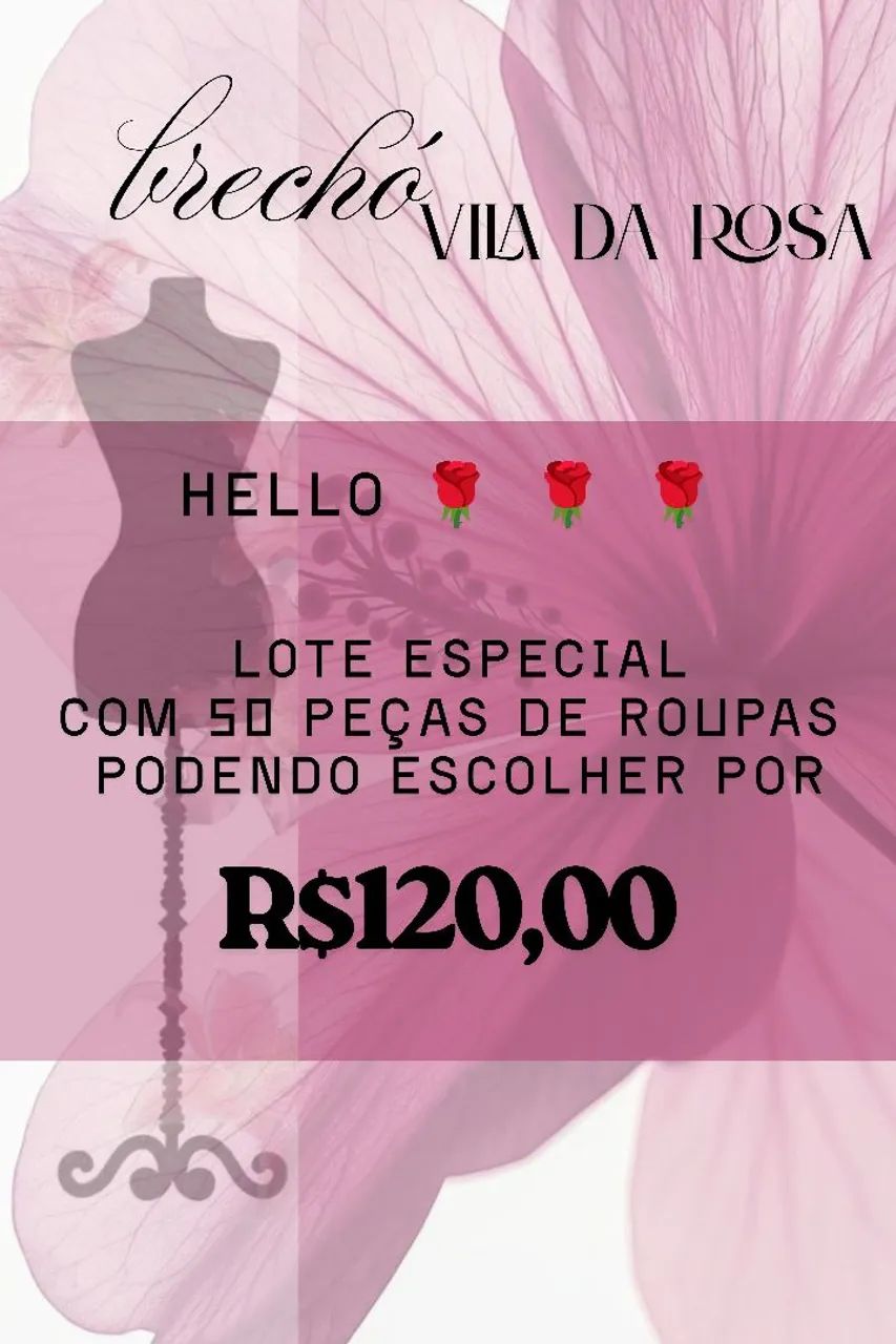 LOTE de Roupas exclusivos 