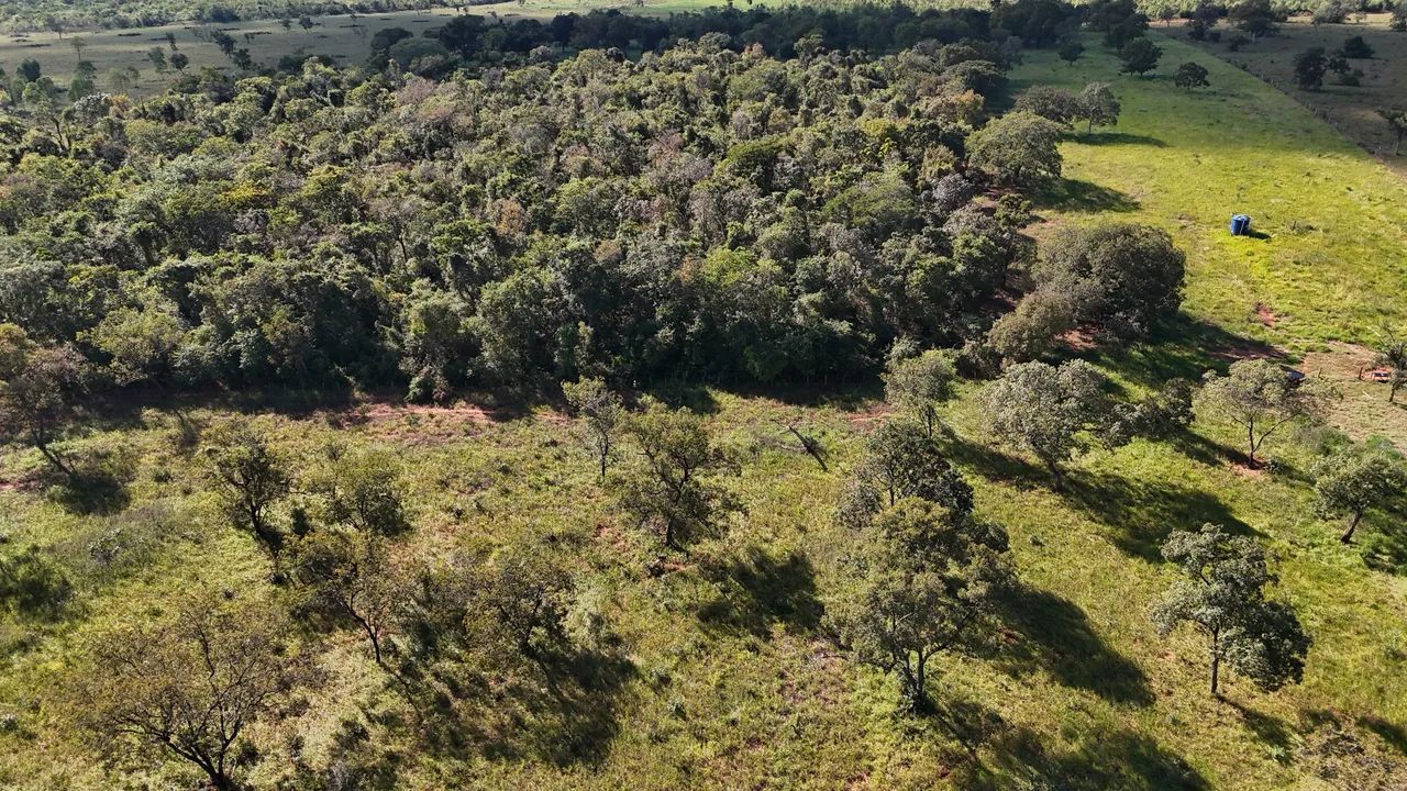 Sítio 37,62 Hectares Três Lagoas MS - Foto 2