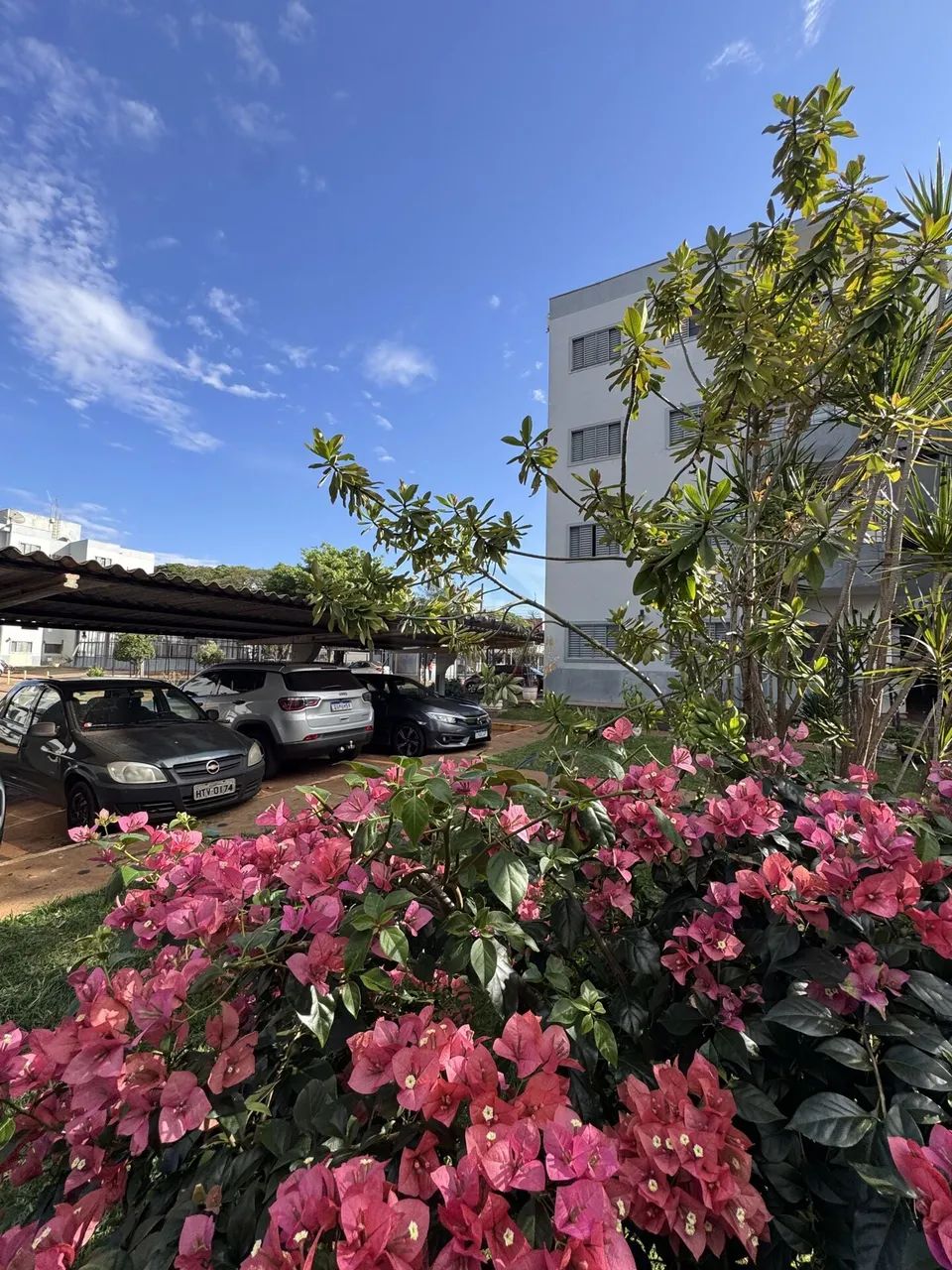 Apartamento em Centro, Dourados/MS - Foto 2