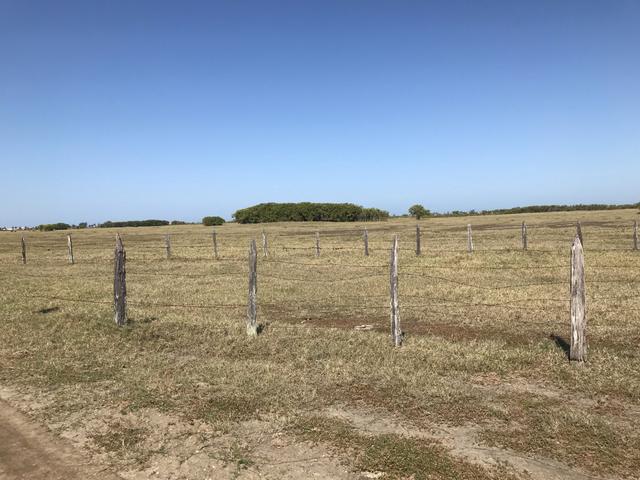 Ótima propriedade em Boa Vista com 55 alqueires - Foto 17
