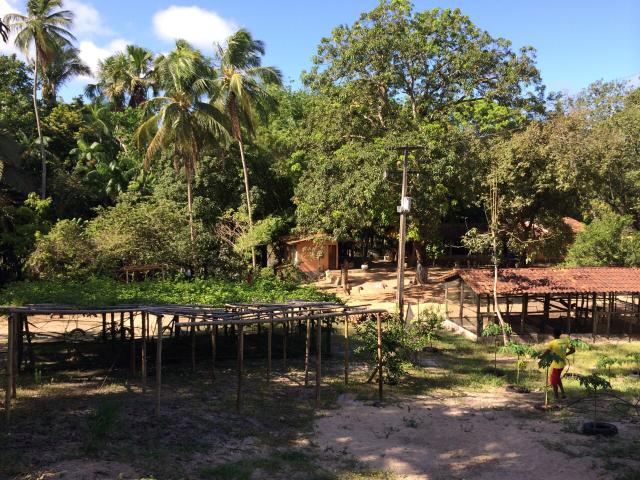 Axixá - Maranhão: Excelente Fazenda p/ Vender - Foto 9