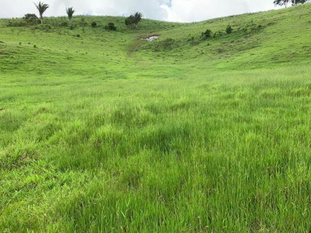 Fazenda para venda em passira, passira - Foto 3