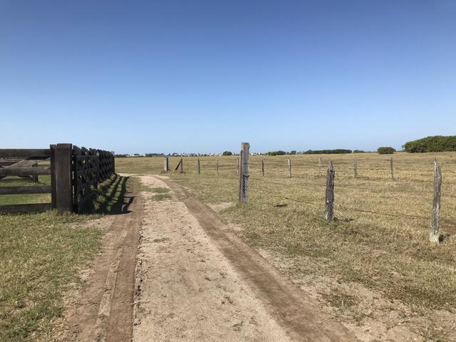 Ótima propriedade em Boa Vista com 55 alqueires - Foto 15