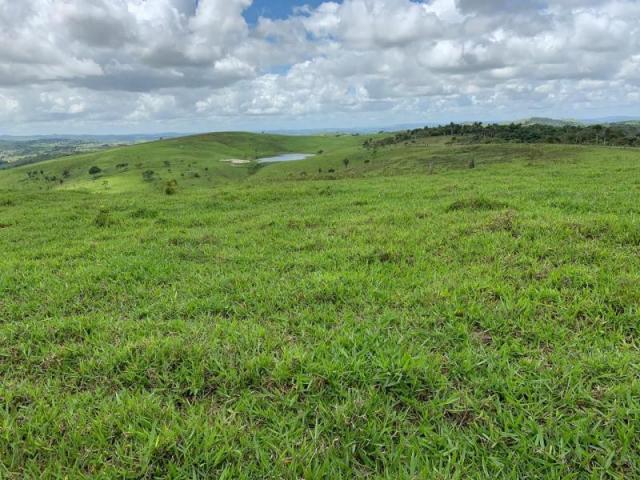 Fazenda para venda em passira, passira - Foto 19