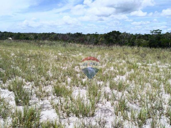 Terreno residencial à venda, coroa vermelha, santa cruz cabrália. - Foto 3