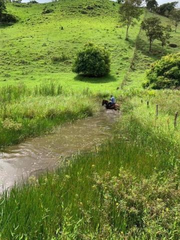 Fazenda para venda em passira, passira - Foto 17