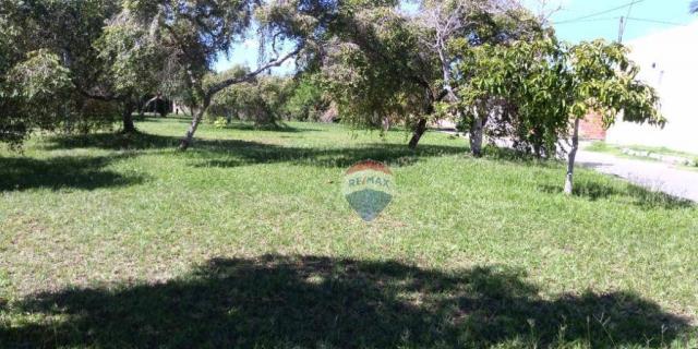 Terreno residencial à venda, alto do mundaí, porto seguro. - Foto 2
