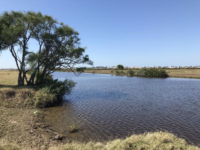 Ótima propriedade em Boa Vista com 55 alqueires - Foto 5