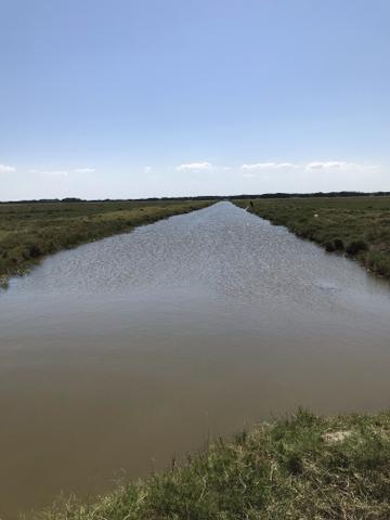 Ótima propriedade em Boa Vista com 55 alqueires - Foto 8