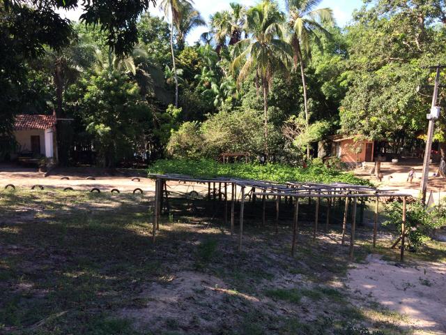 Axixá - Maranhão: Excelente Fazenda p/ Vender - Foto 11
