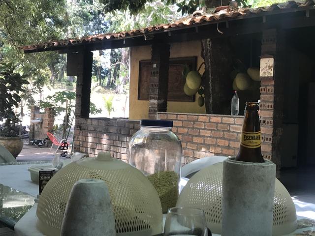 Axixá - Maranhão: Excelente Fazenda p/ Vender - Foto 14