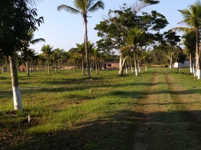 Ll Terrenos Próximo ao Trevo de Búzios - Foto 7