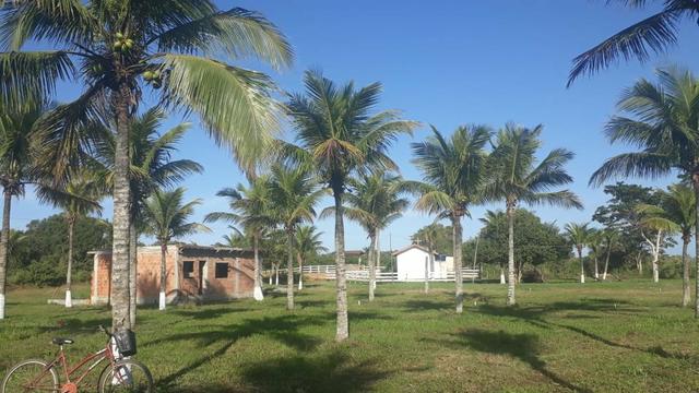 Ll Terrenos Próximo ao Trevo de Búzios. - Foto 4