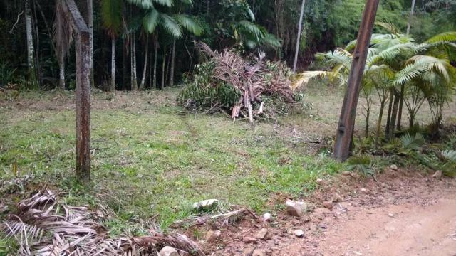 Vendo terreno no gasparinho R$ 42.000,00 - Foto 2