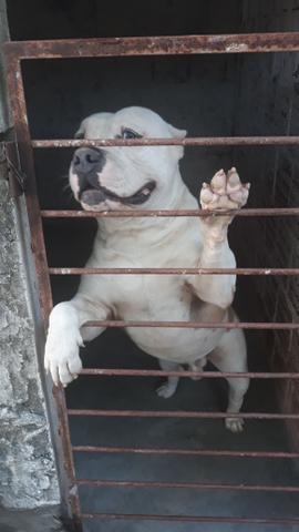 Procura-se uma namorada - Foto 5