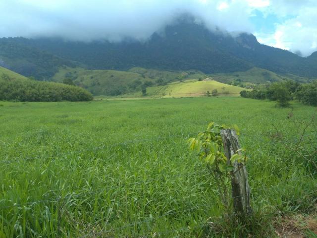 Ótima Fazenda em Casimiro de Abreu-RJ - Foto 3