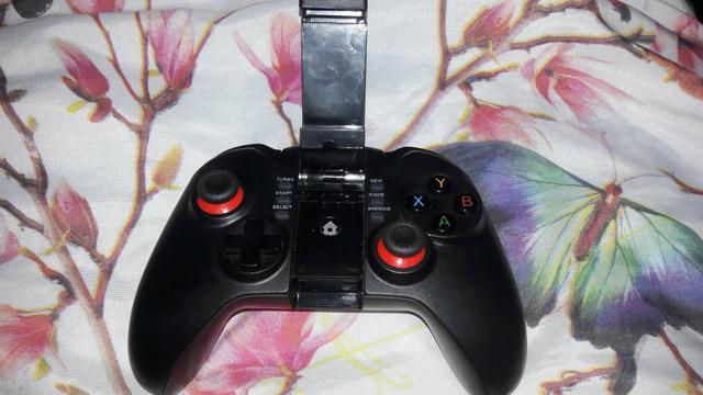 Controle ÍPEGA - Foto 2
