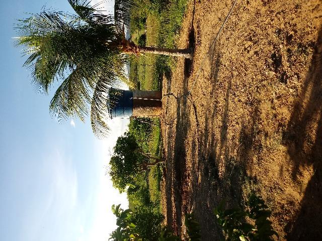 Propriedade rural - Foto 20