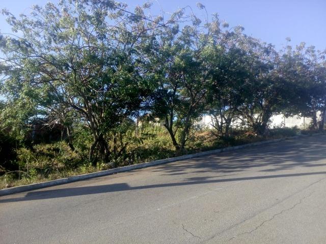 Vendo lote em Pirangir praia - Foto 9