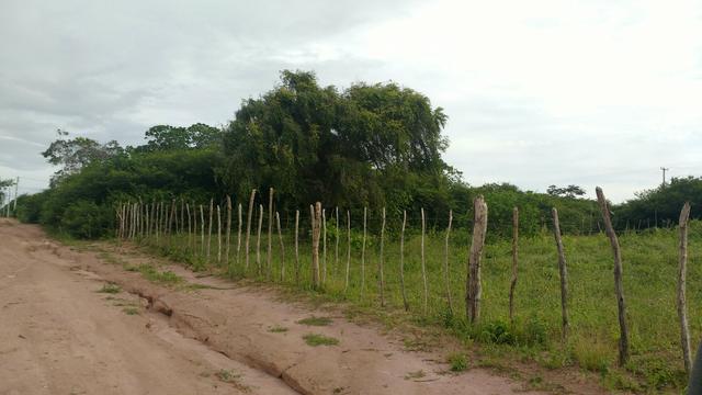 4 Lotes ou Integrados