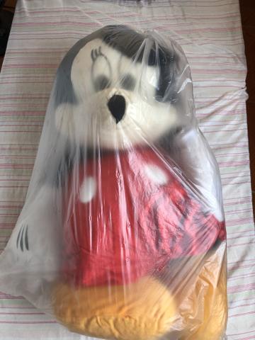 Mickey novo