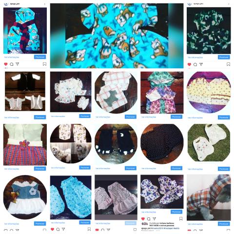 Roupas pets