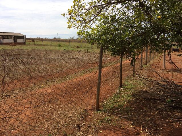Madeiras, postes de cerca, arames, telhas e outros; - Foto 5