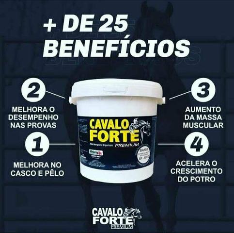 Suplemento cavalo forte premium - Foto 4